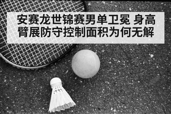 badminton court professional match